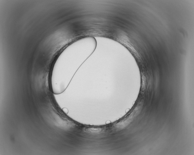 X0000111680302200907311225