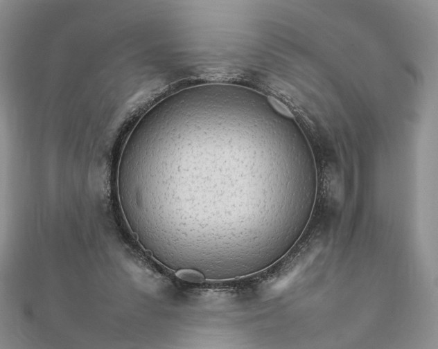 X0000111680303200907311225