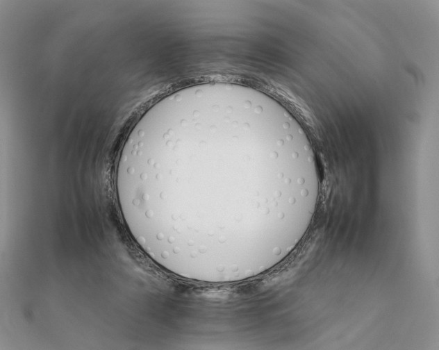 X0000111680306200907311225