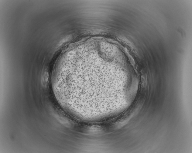 X0000111680308200907311225