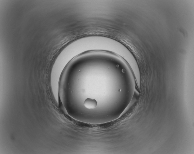 X0000111680309200907311225