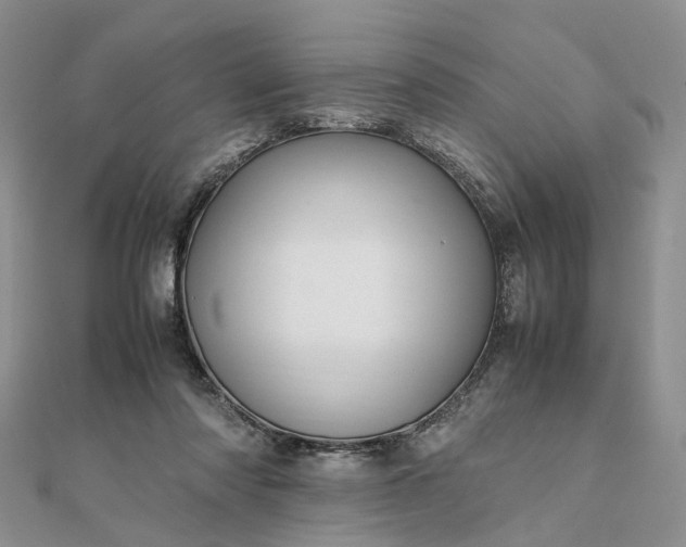 X0000111680310200907311225