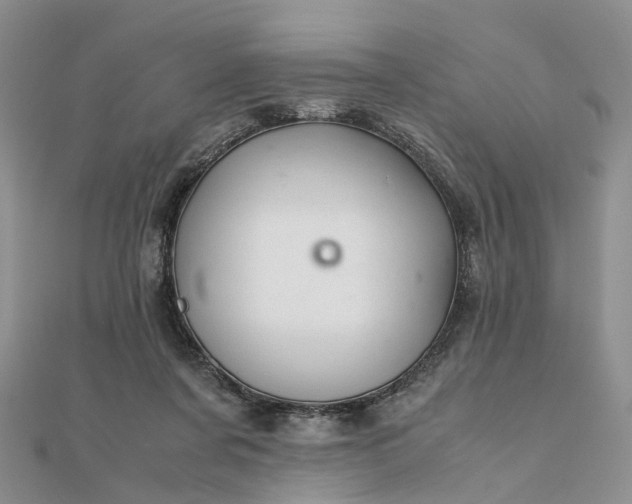 X0000111680311200907311225