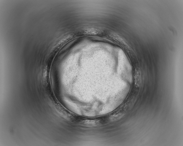 X0000111680314200907311225