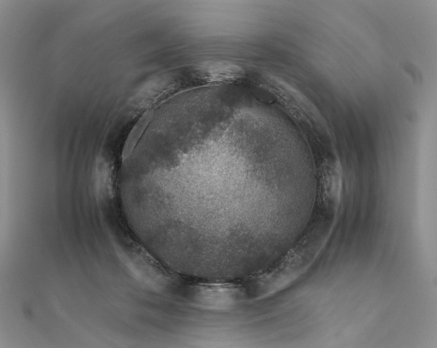 X0000111680316200907311225