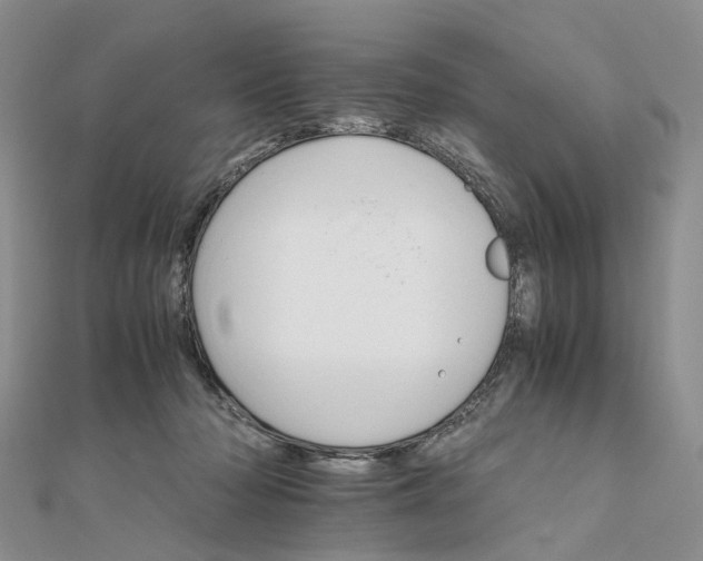 X0000111680318200907311225