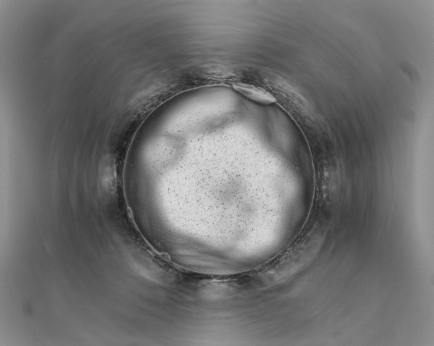 X0000111680320200907311225