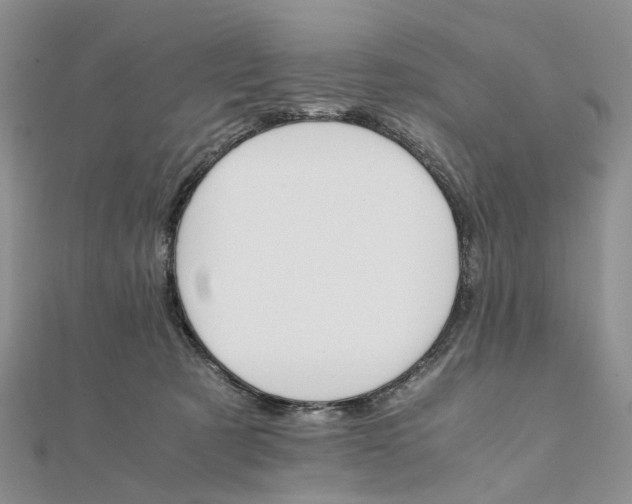 X0000111680321200907311225