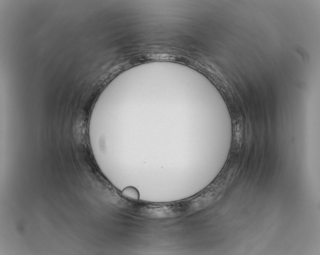 X0000111680322200907311225