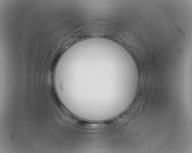 X0000111680323200907311225