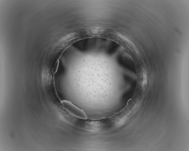 X0000111680324200907311225