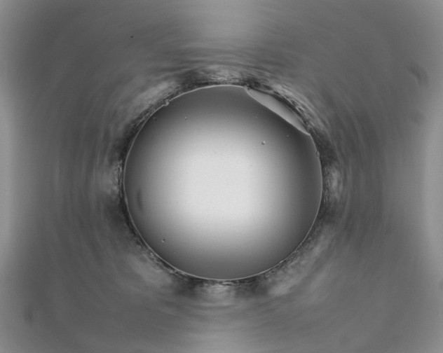 X0000111680325200907311225