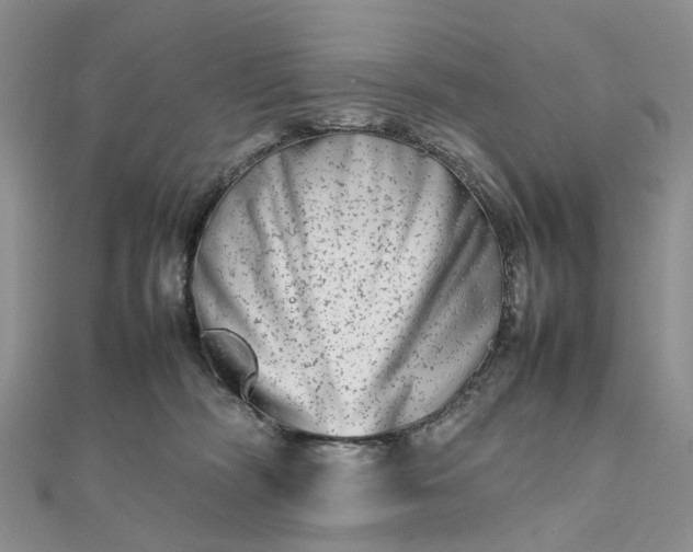 X0000111680326200907311225