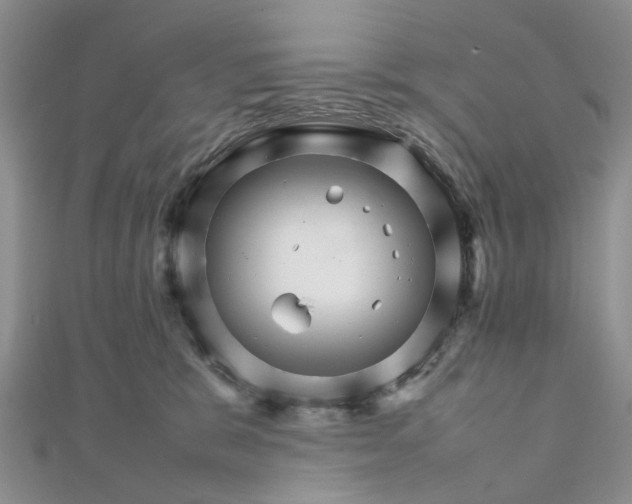 X0000111680327200907311225