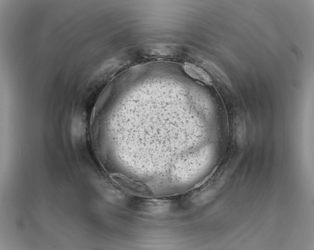 X0000111680328200907311225