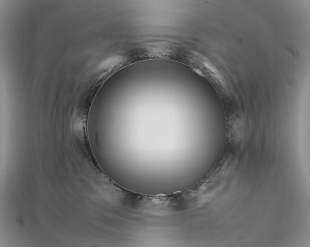 X0000111680329200907311225