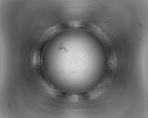 X0000111680330200907311225