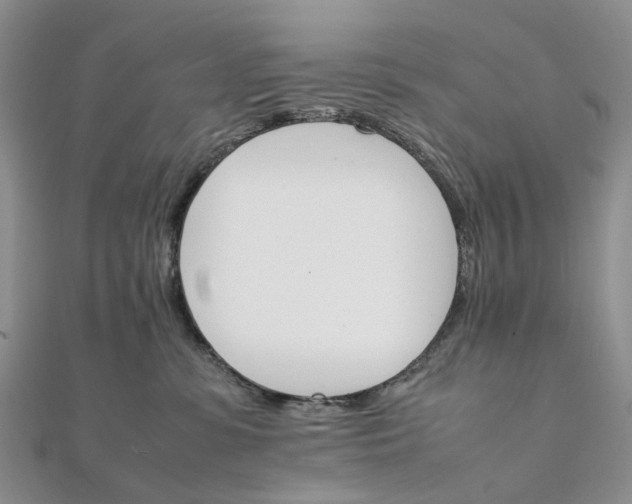 X0000111680331200907311225