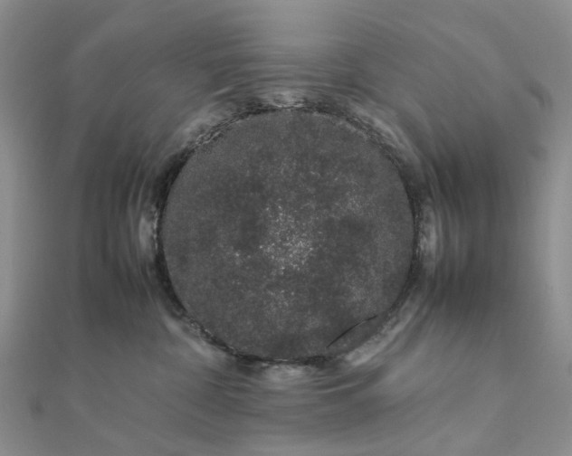 X0000111680332200907311225