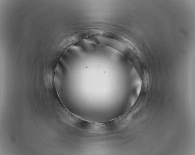 X0000111680333200907311225