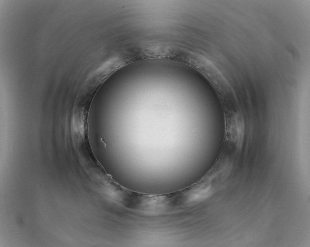 X0000111680334200907311225