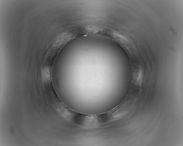 X0000111680335200907311225