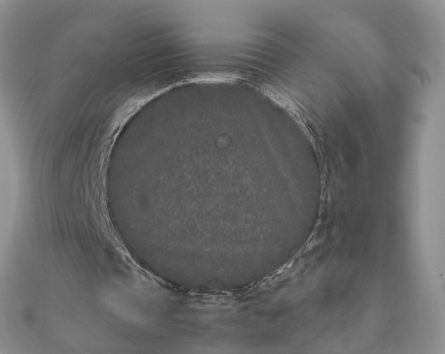 X0000111680337200907311224