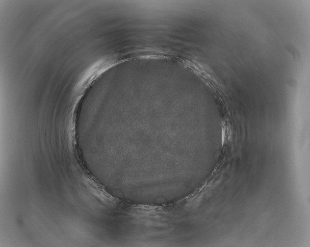 X0000111680339200907311224