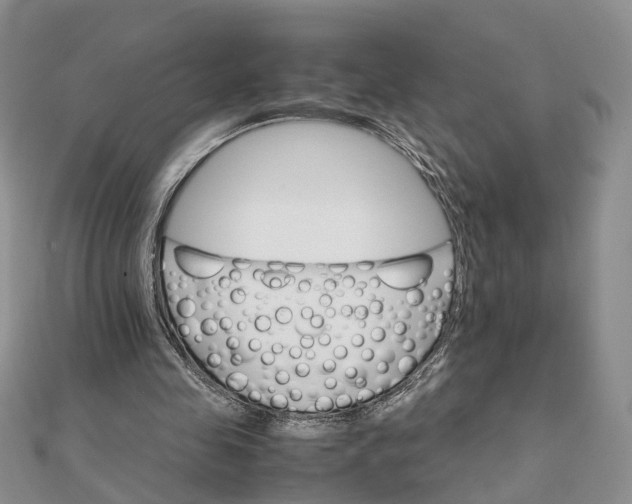 X0000111680341200907311224