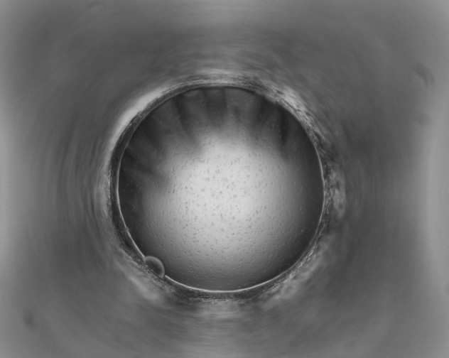 X0000111680342200907311224