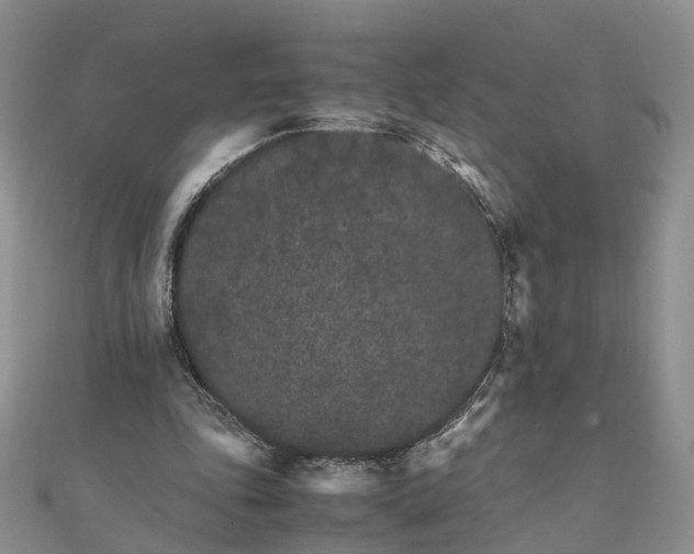 X0000111680343200907311224