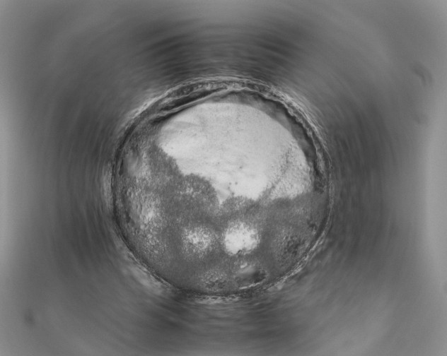 X0000111680345200907311224