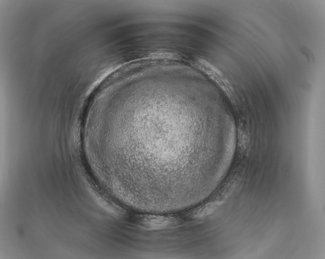 X0000111680347200907311224