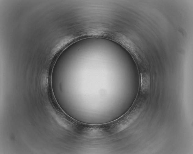 X0000111680348200907311224