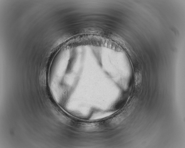 X0000111680349200907311224