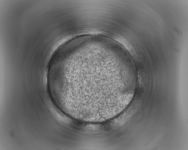 X0000111680350200907311224