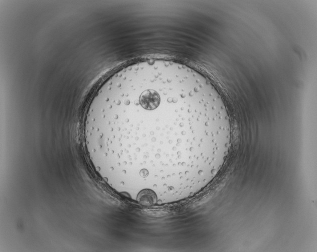 X0000111680351200907311224