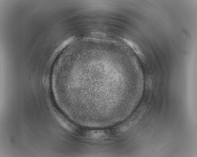 X0000111680353200907311224