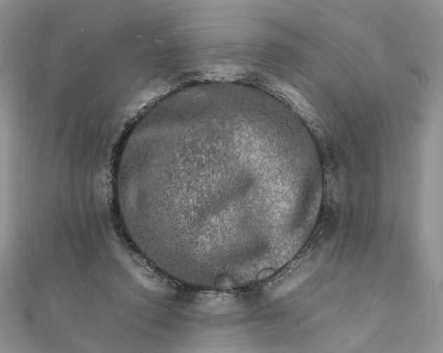 X0000111680354200907311224