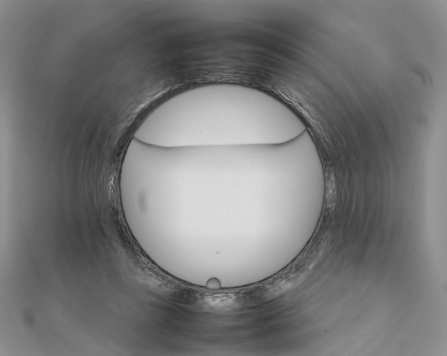 X0000111680355200907311224