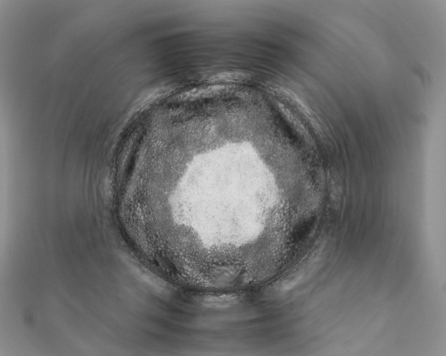 X0000111680357200907311224