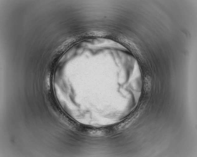 X0000111680358200907311224