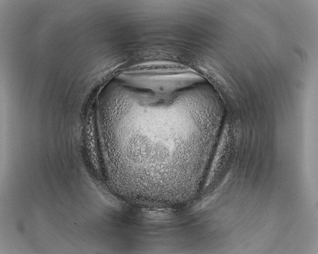 X0000111680359200907311224