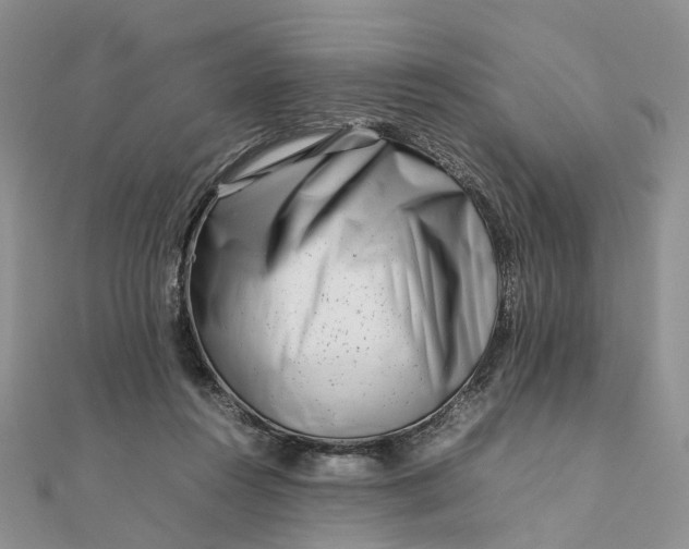 X0000111680360200907311224