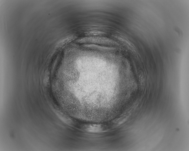 X0000111680361200907311224