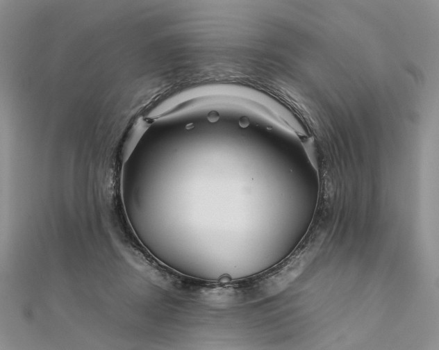 X0000111680362200907311224