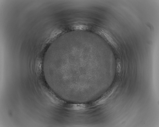 X0000111680363200907311224