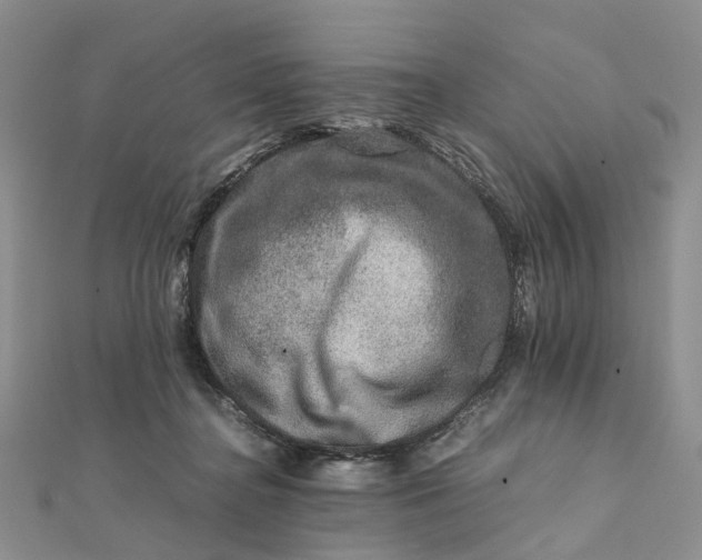 X0000111680364200907311224