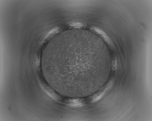 X0000111680365200907311224