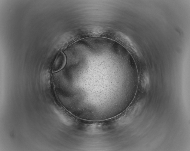 X0000111680366200907311224